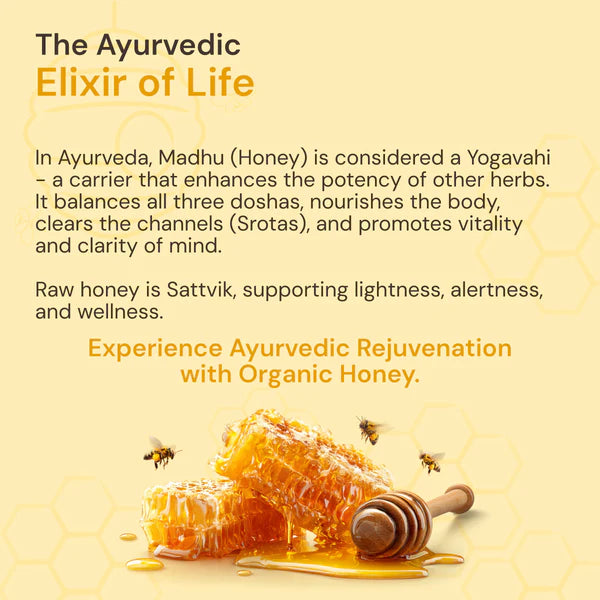 Organic Honey: Pure & Natural | Ayurvedic Rejuvenation