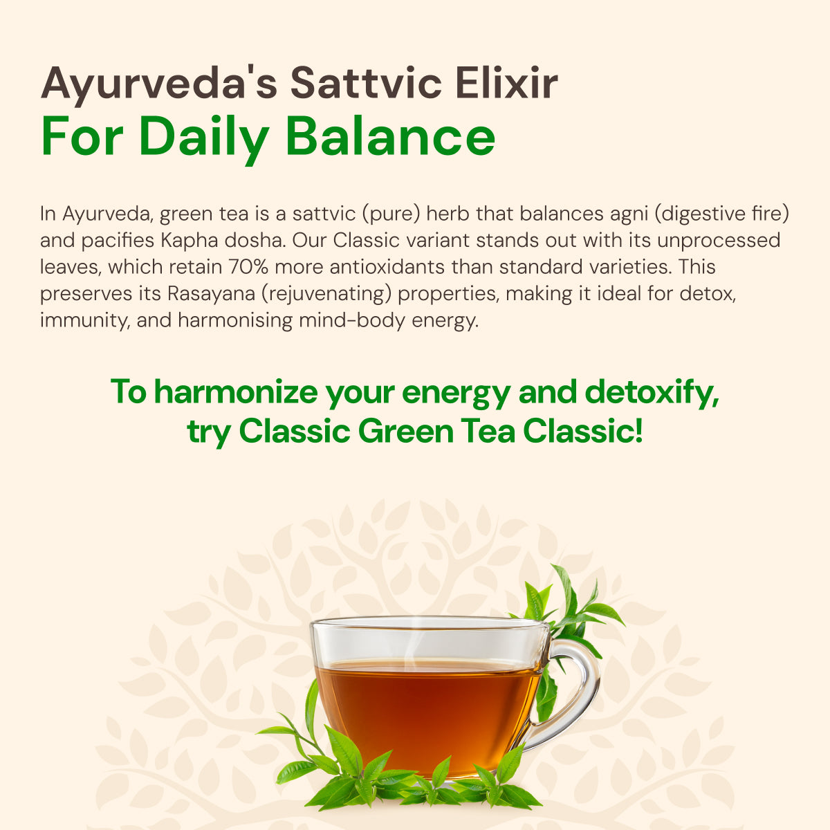 Green Tea Classic, Best Green Tea for Weight Loss & Vitality