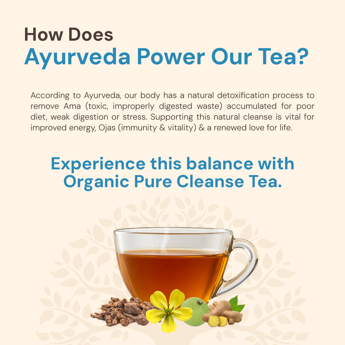 Pure Cleanse: Ayurvedic Detox Tea | Natural Purifying Herbal Blend
