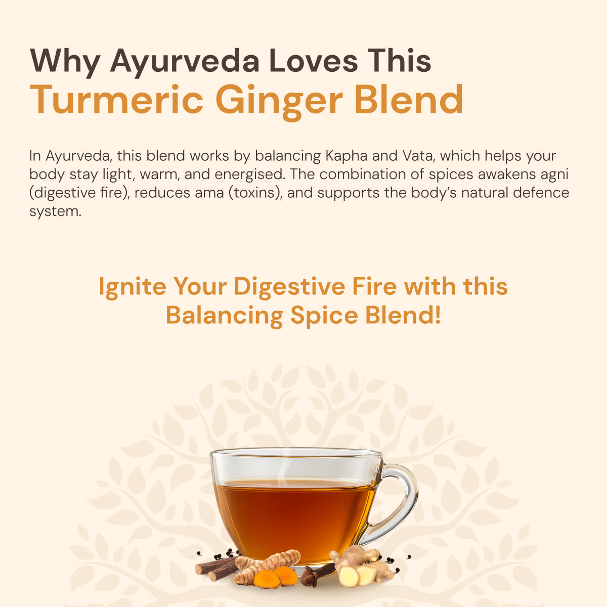 Turmeric Ginger Tea | Immunity & Digestion Boosting Ayurvedic Blend