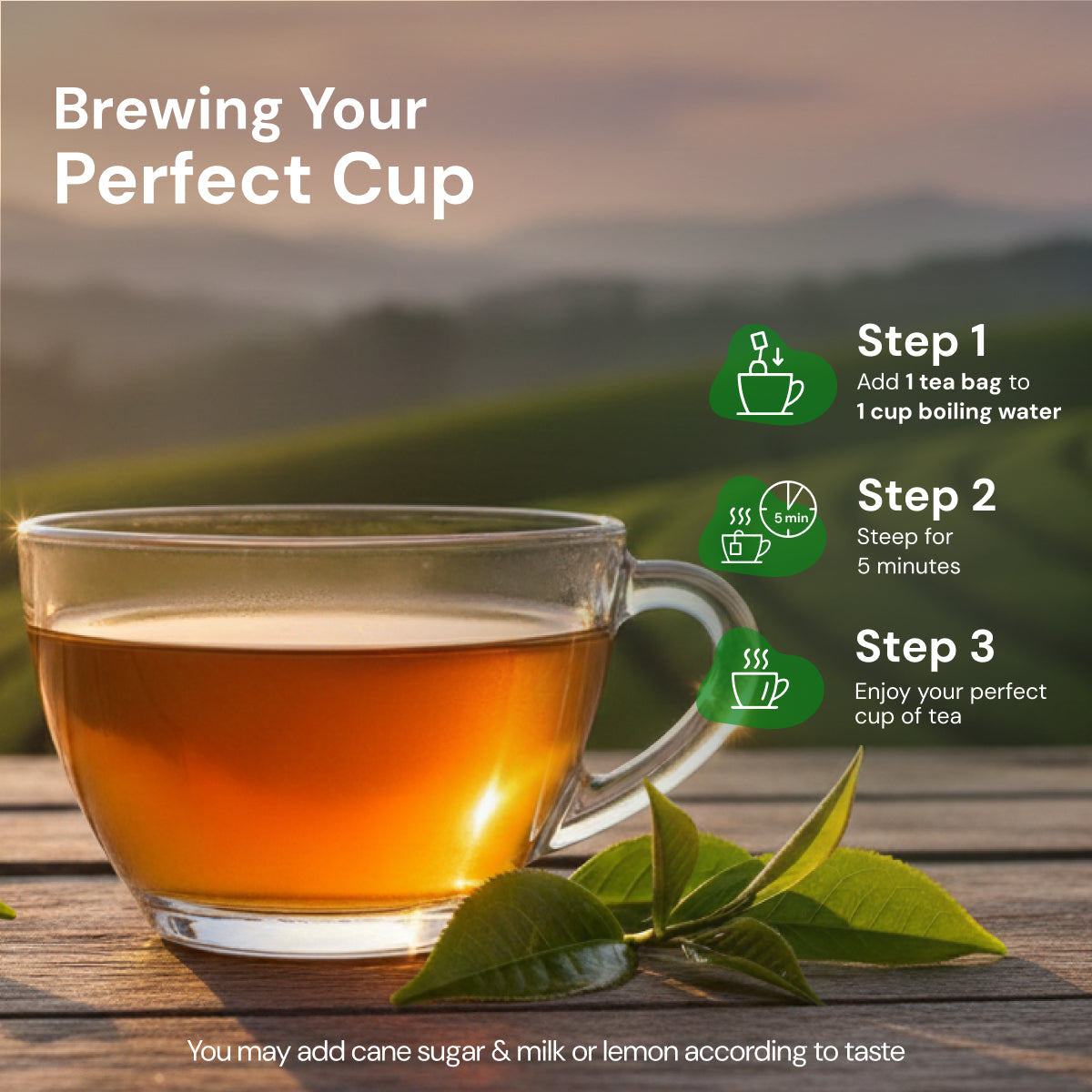 Green Tea Classic, Best Green Tea for Weight Loss & Vitality