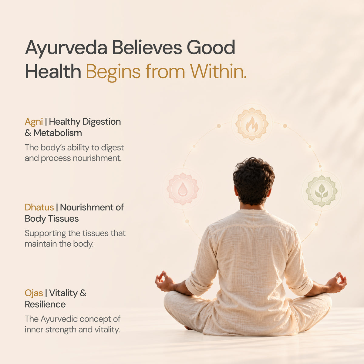 Maharishi Ayurveda Amrit Kalash Dual Pack | Supports Holistic Health