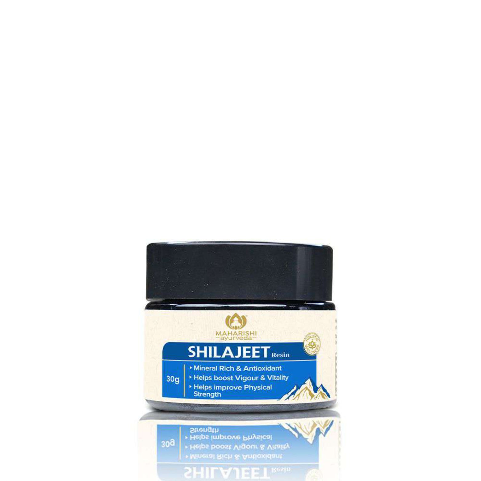 Pure Shilajit Resin | Mineral-Rich Vitality Booster