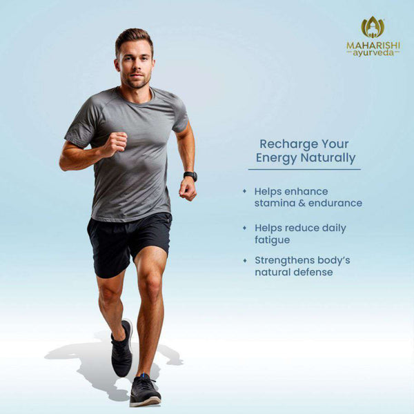 Pure Shilajeet Resin | Mineral-Rich Vitality Booster