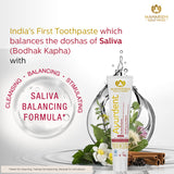 Ayurdent Classic Toothpaste with Saliva Balancing Formula