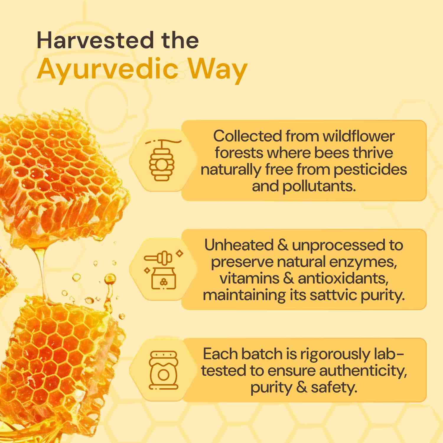 Organic Honey: Pure & Natural | Ayurvedic Rejuvenation