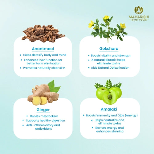 Pure Cleanse: Ayurvedic Detox Tea | Natural Purifying Herbal Blend