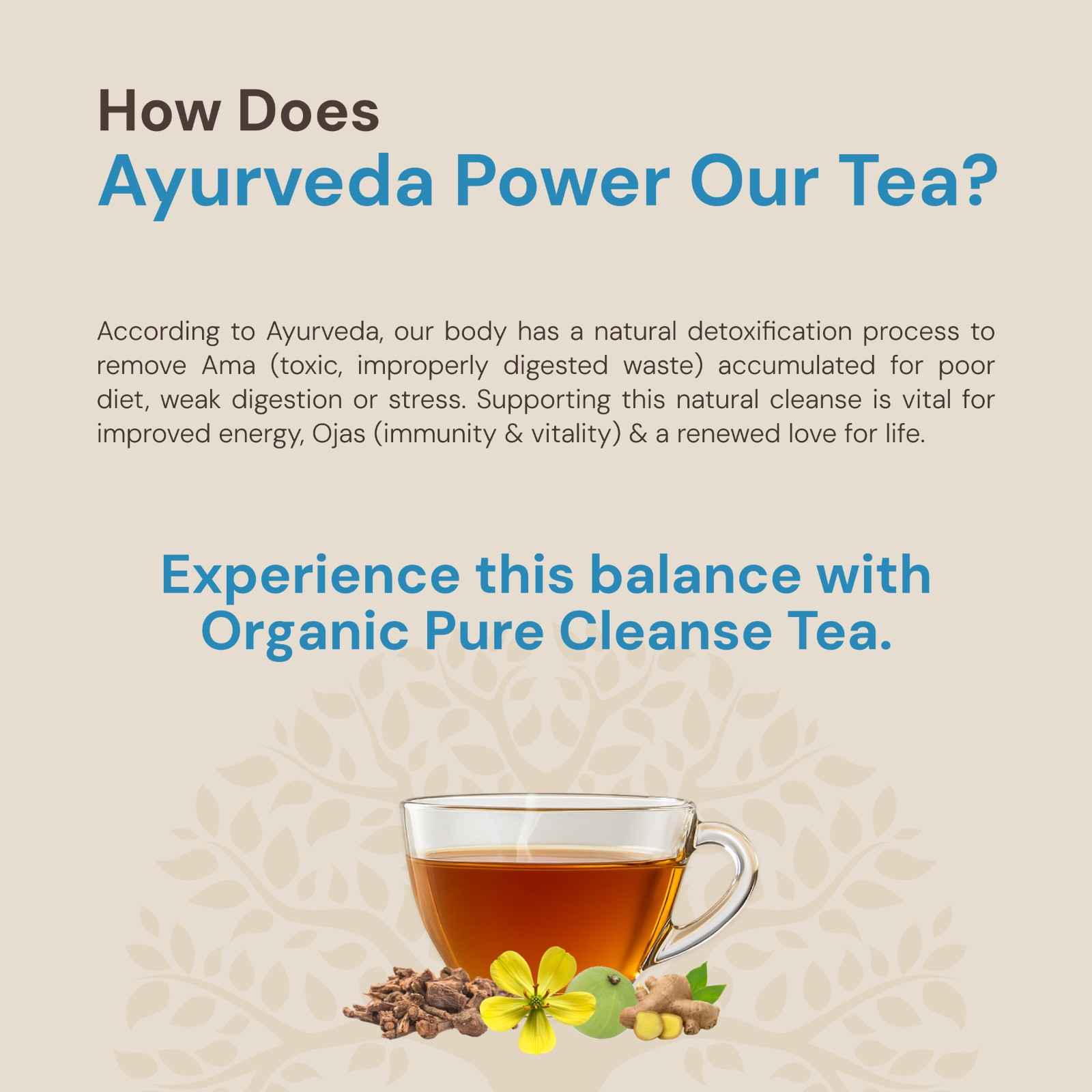 Pure Cleanse: Ayurvedic Detox Tea | Natural Purifying Herbal Blend