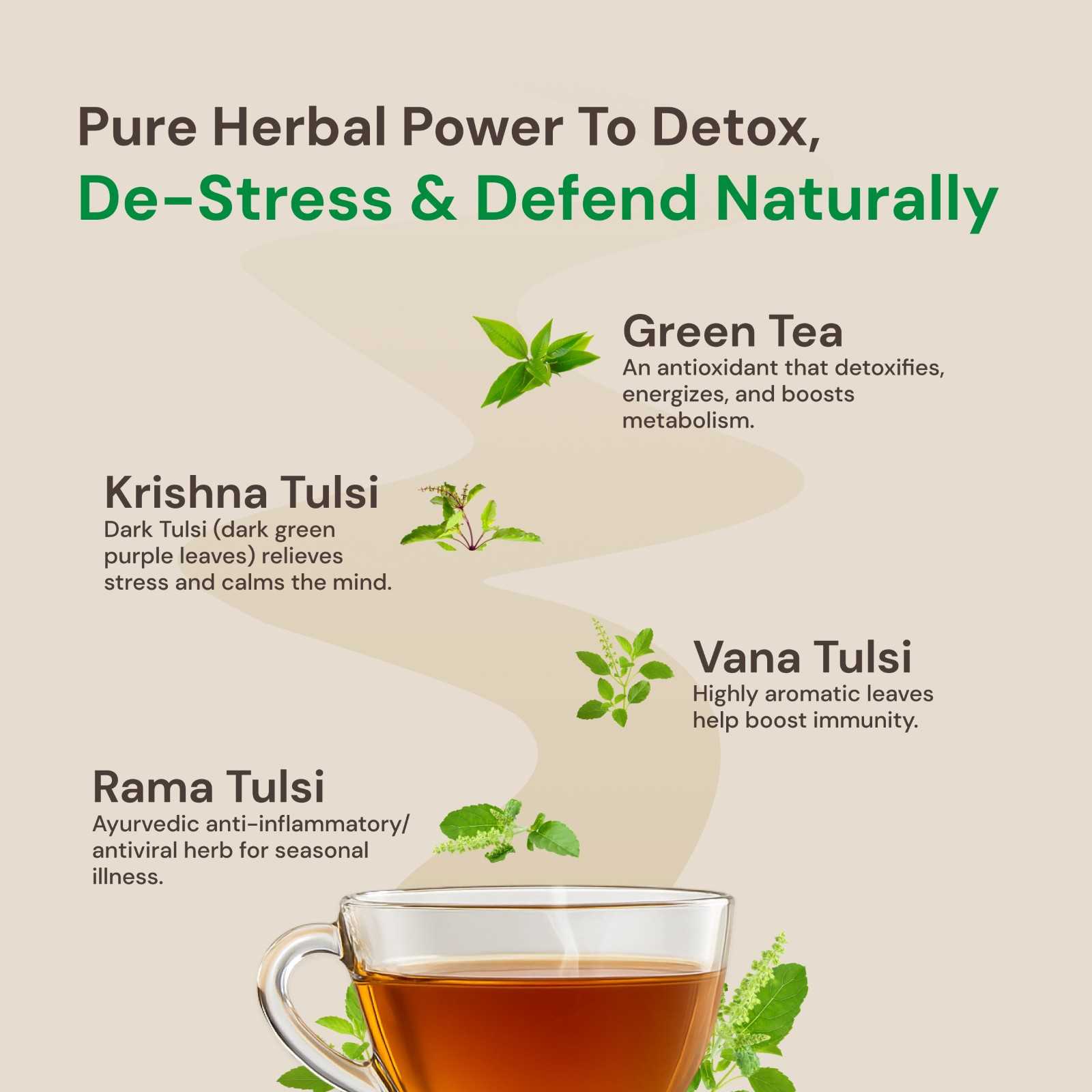 Tulsi Green Tea Premium | Organic Ayurvedic Blend
