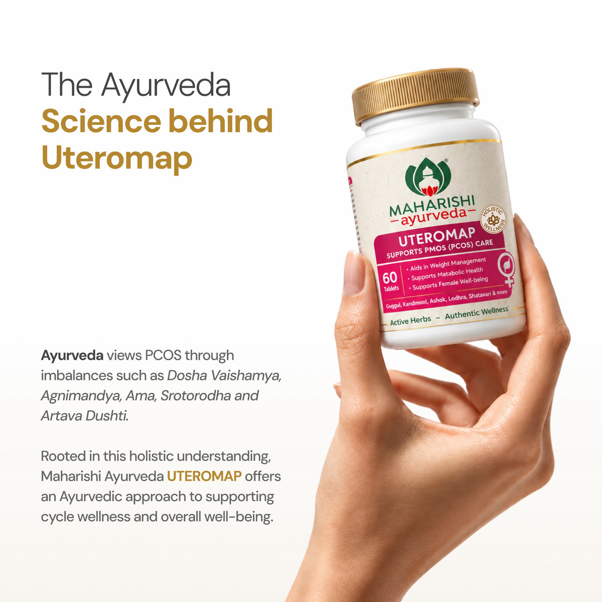 UTEROMAP | Supports Cycle & Metabolic Wellness