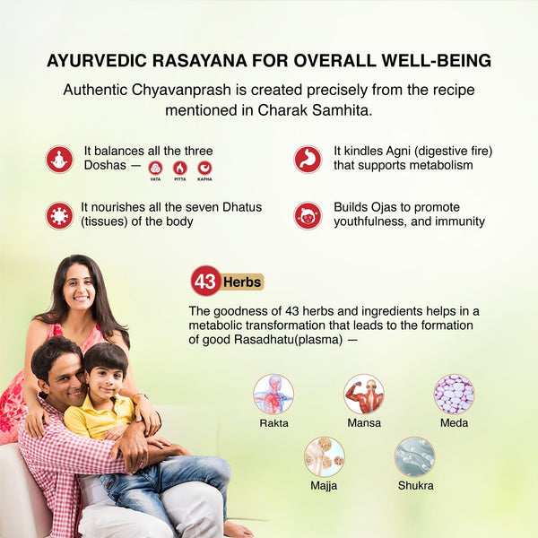 Authentic Chyavanprash – Effective for Building immunity - Maharishi Ayurveda India