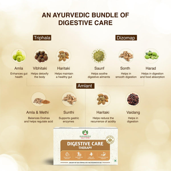 Digestive Care Therapy - Maharishi Ayurveda India