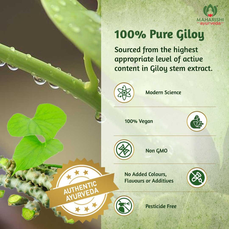 Giloy Ghan Vati Tablets1