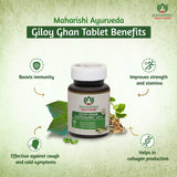 Giloy Ghan Vati Tablets4